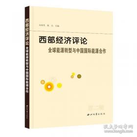 西部大开发与资本市场