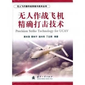 无人飞行器作战系统与技术丛书：无人作战飞机内埋式导弹发射技术