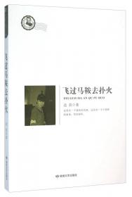 飞过一片时间海/浙江少年文学新星丛书