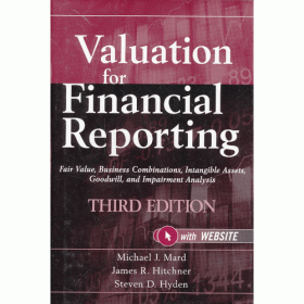 Valuation for Mergers, Buyouts, and Restructuring (Wiley Finance)