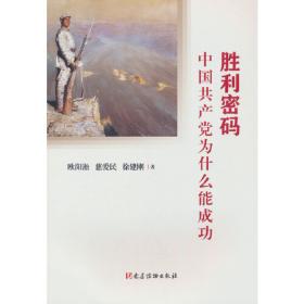 胜利大反攻/1945中国记忆