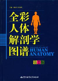 全彩人体解剖学图谱