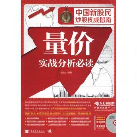 中国新股民炒股权威指南：K线实战分析必读（1DVD）