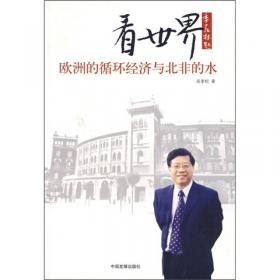 1984～2000 我的知识经济及其管理研究--从巴黎到北京