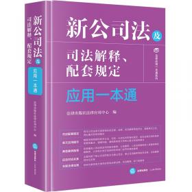 新公司法实施以来热点问题适用研究