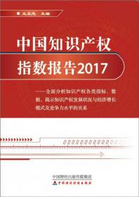 中国知识产权指数报告2014