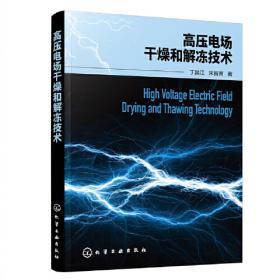 高压电气绝缘检测工作页（王喜燕）（第二版）