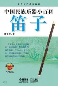中国民族乐器小百科：琵琶