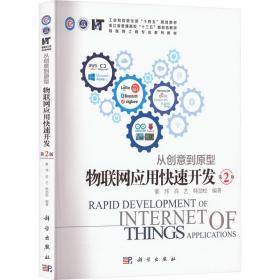 物联网智慧安监技术（修订版）