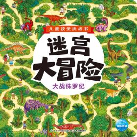 儿童视觉挑战书·迷宫大冒险： 开心游乐场