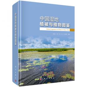 湿地生物多样性保护