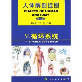 人体解剖挂图:局部解剖
