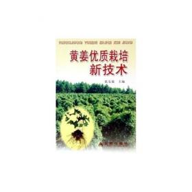黄姜、穿地龙、白芷、紫菀高效栽培技术——新世纪富民工程丛书·药用植物栽培书系