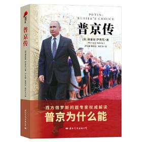 普京新时期的俄罗斯（2011～2015）：政治稳定与国家治理