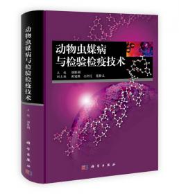 北京高等教育精品教材：几何画板课件制作教程（第3版）