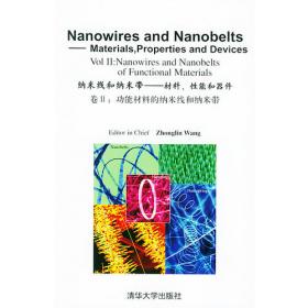 纳米科学与技术：自驱动系统中的纳米发电机