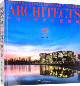 中国当代青年建筑师2（下册）