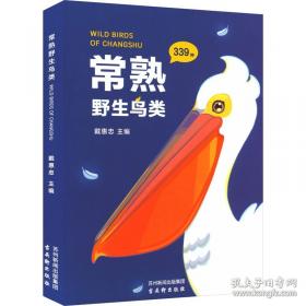 常熟博物馆藏瓷