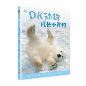 DK儿童目击者·第1级（全20册.精装）