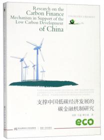 环境金融准则 支持可再生能源和可持续环境的金融政策/低碳智库译丛