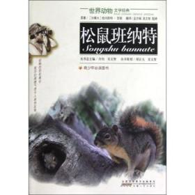 松鼠老爹与三只松鼠：互联网品牌IP化、人格化运营之路