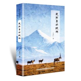 藏羚羊丛书——流浪歌手的梦