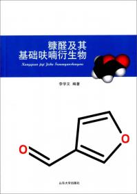 城市公共交通绩效评价研究