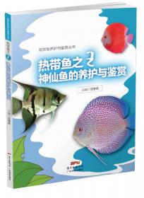 锦鲤的养护与鉴赏/观赏鱼养护与鉴赏丛书