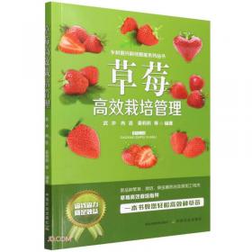 草莓园艺工培训教材