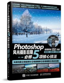 培训专家：Photoshop中文版基础与实例教程（职业白金版）