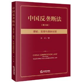 中国反垄断法：理论、实践与国际比较