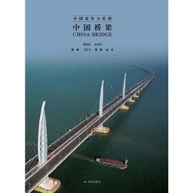 中国港 中国超级工程丛书系列青少年建筑科普百科知识