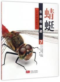 蜻蜓运动会/加古里子经典故事系列