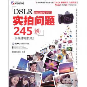 无师自通：DSLR数码单反摄影与照片后期从入门到精通（DVD）