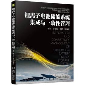 锂离子电池组设计手册 电池体系、部件、类型和术语