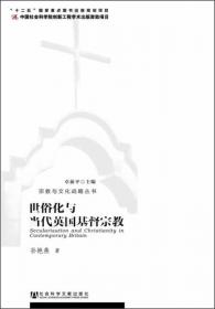 中国基督教田野考察
