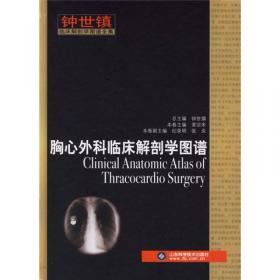 胸心外科手术规范及典型病例点评——外科手术规范及典型病例点评丛书