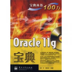 Oracle10g宝典