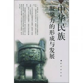中国历代民族史丛书：隋唐民族史