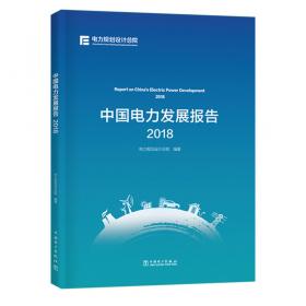 中国电力发展报告2017