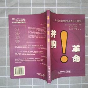 中国并购评论（第四册）