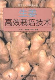跟王乐义学种大棚菜丛书：大棚大白菜甘蓝高效栽培技术