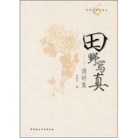 基督教中国化研究丛书：基督教与中国文化处境