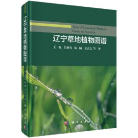 辽宁大学法学学术文库：中国古代证据制度及其理据研究