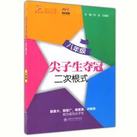 上海市初中数学星级训练——压轴题（八年级上）