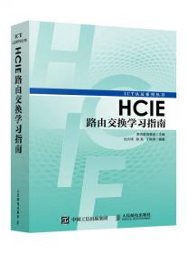 HCIP-Datacom-Core Technology实验指南