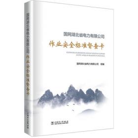 国网四川省电力公司年鉴(2020)(精)