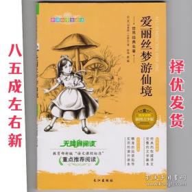 爱丽斯漫游奇境