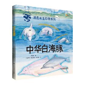 濒危水生动物系列——斑海豹