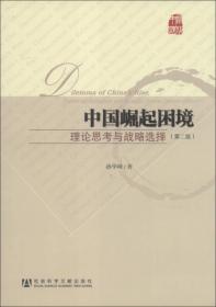 中国发展道路研究丛书·中国崛起困境：理论思考与战略选择